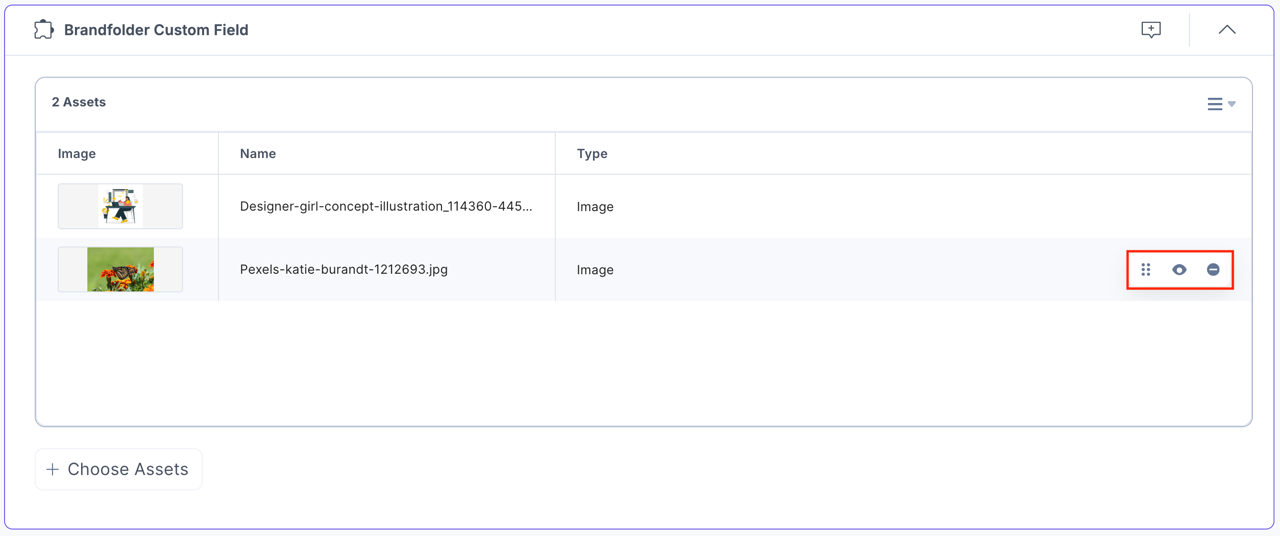 Brandfolder-Custom-Assets-View-List-Options