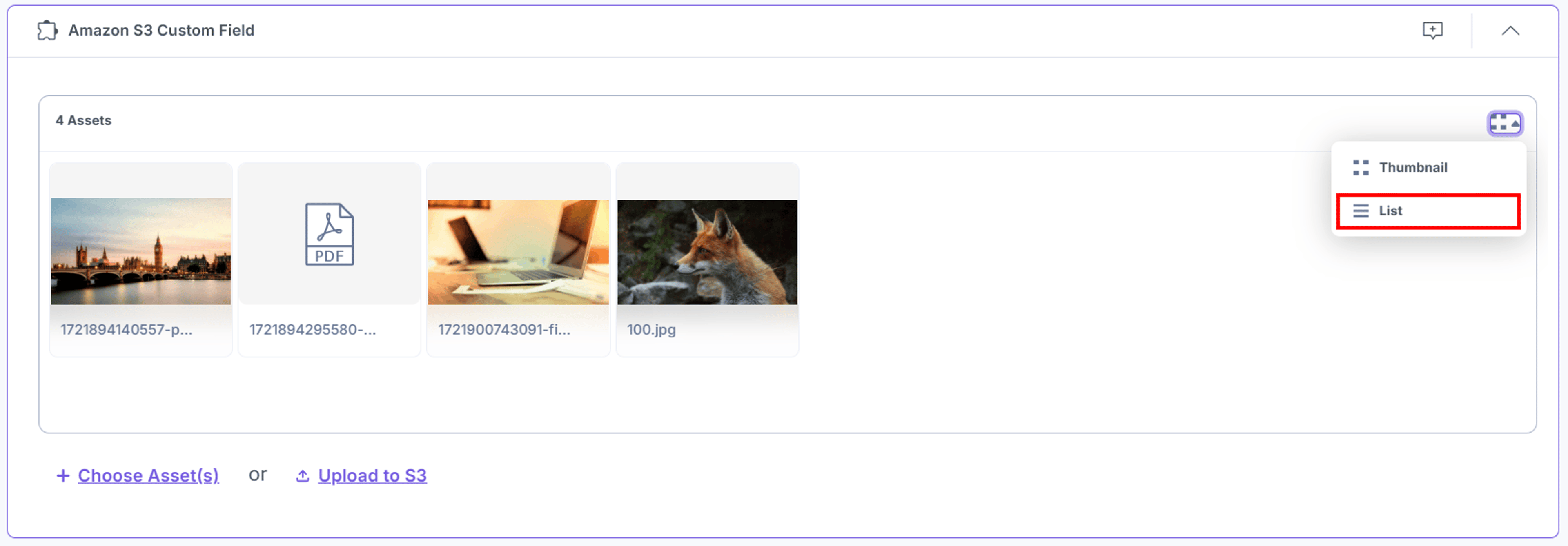 Amazon-S3-Custom-Field-Assests-View-Options