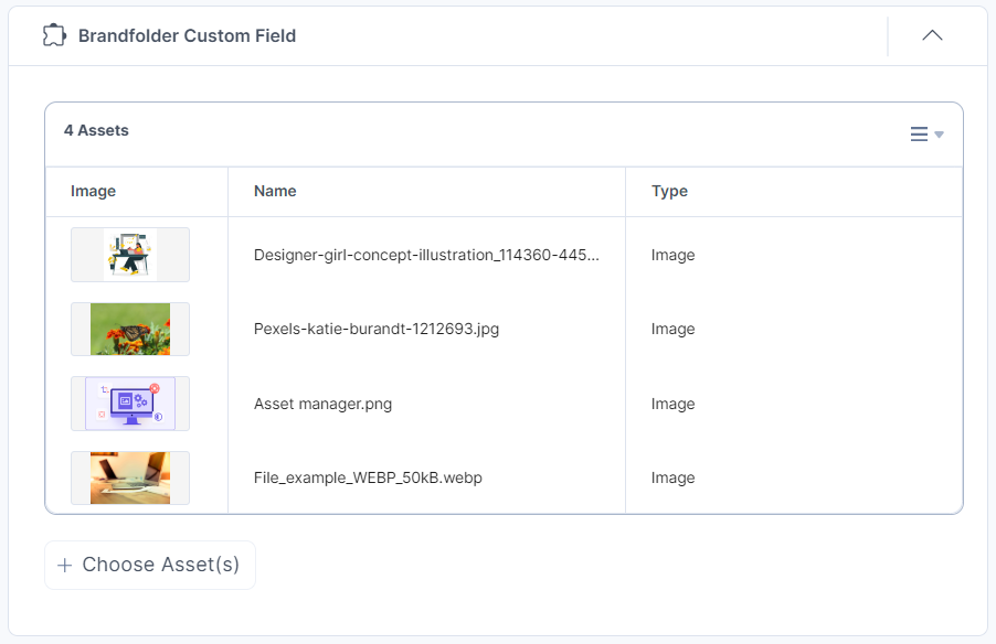 22-Brandfolder-Custom-Field-Assets-View-List