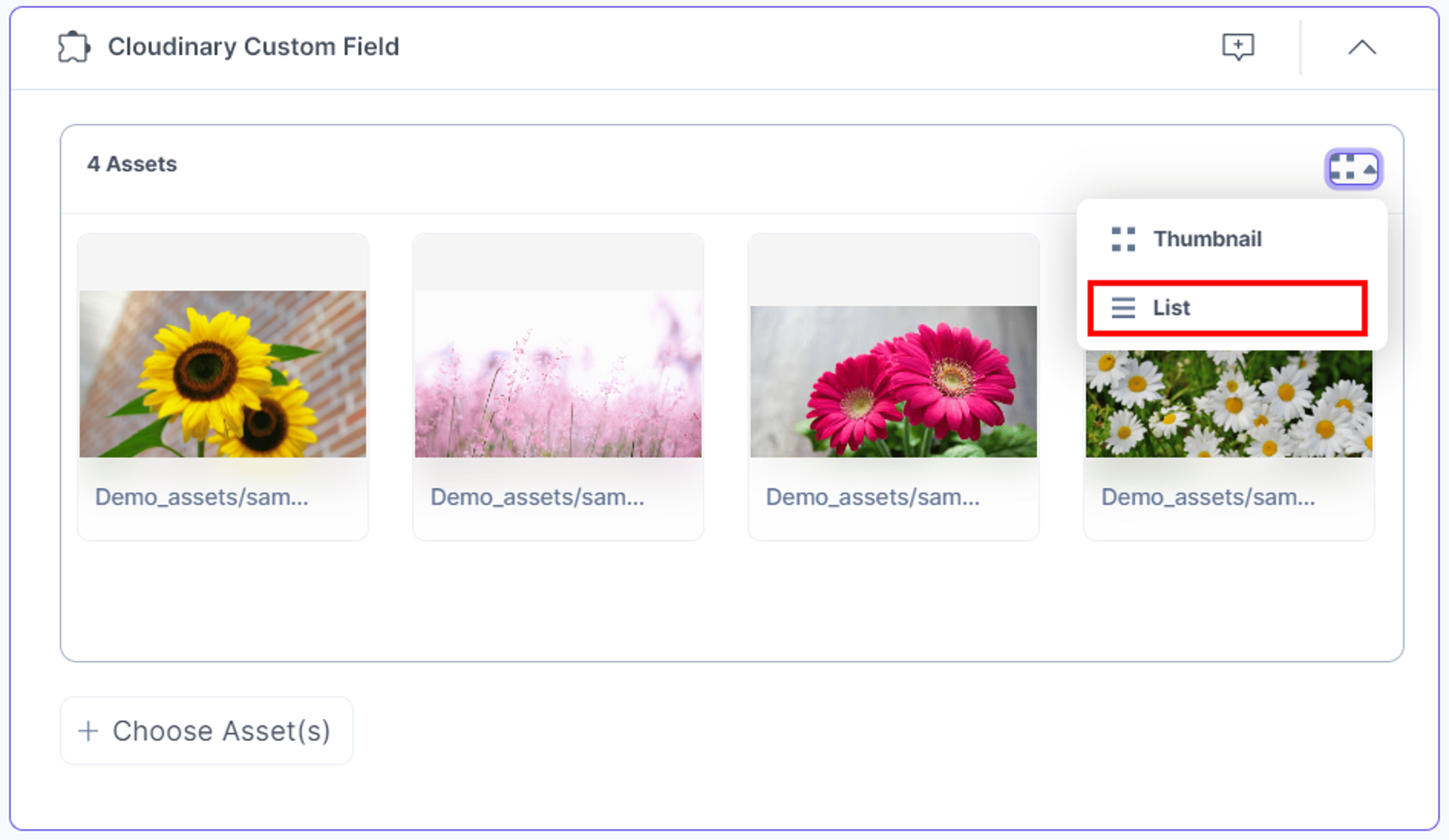 22-Cloudinary-Custom-Field-View-Options