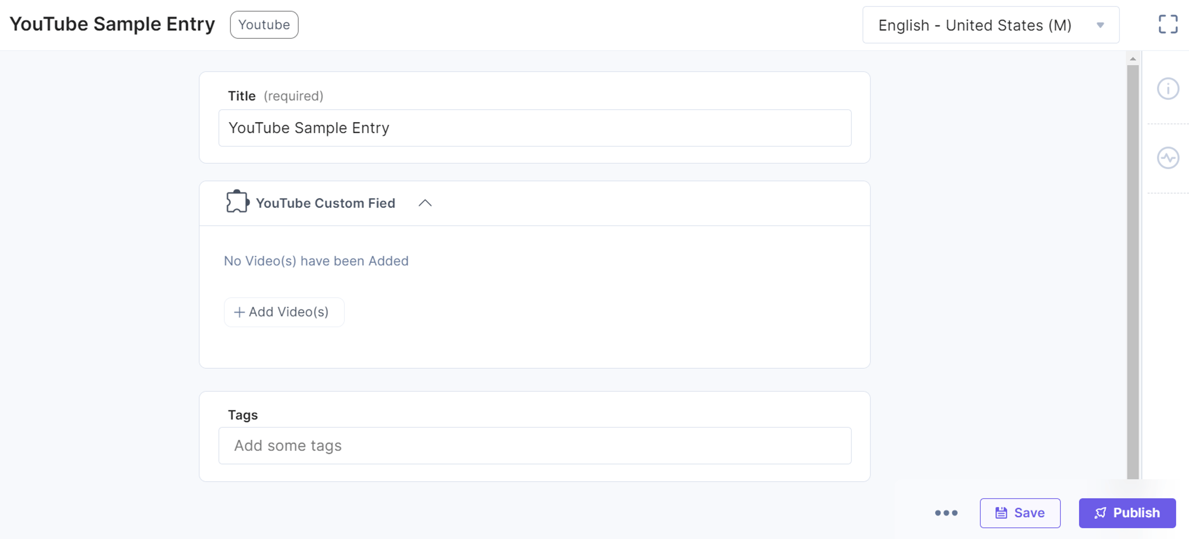 YouTube-Custom-Field-Sample-Entry