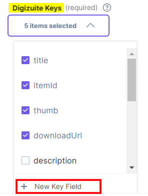 4-Digizuite-Configuration-Add-New-Key-Field