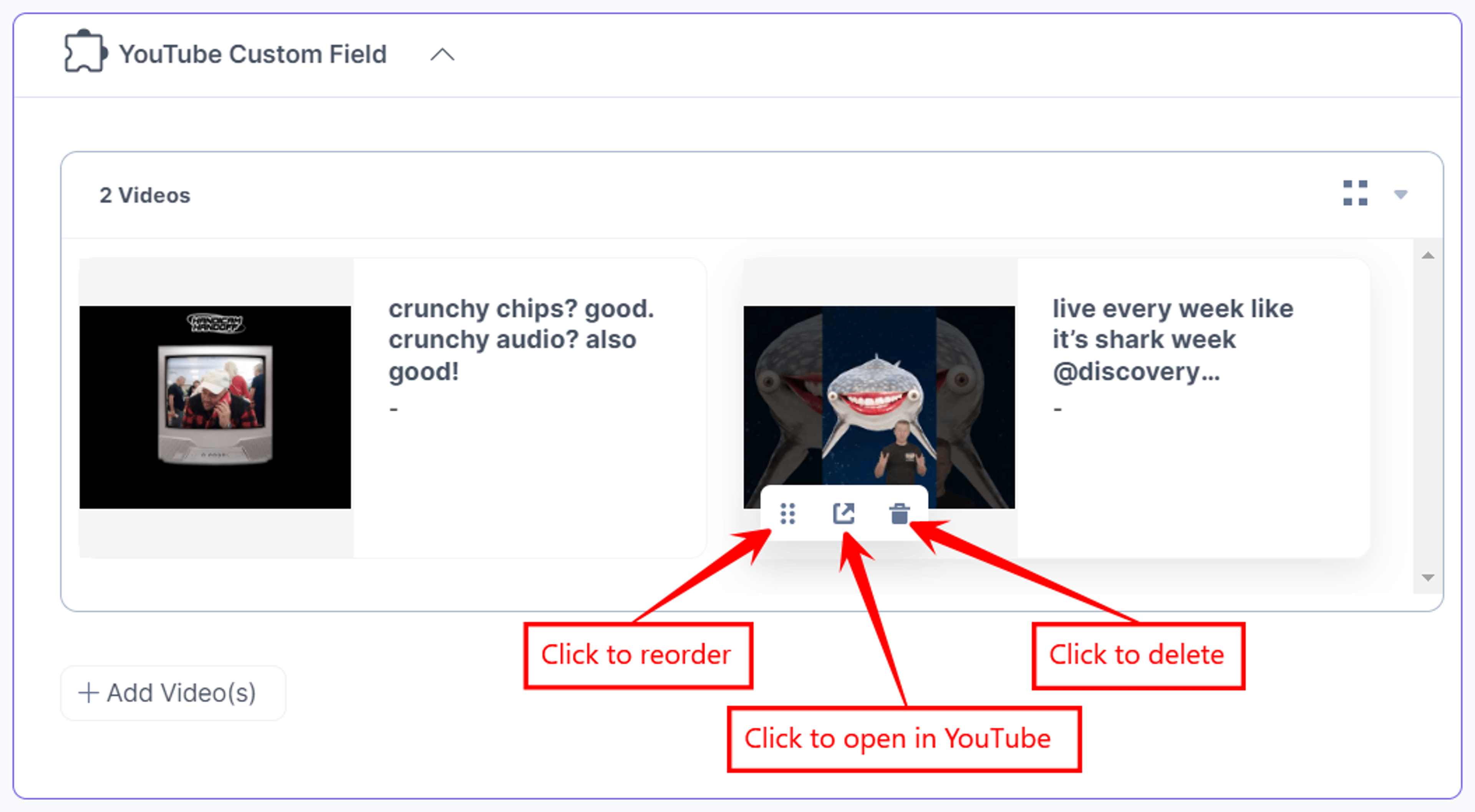 YouTube-Custom-Field-Added-Videos-Features-In-Thumbnail-view