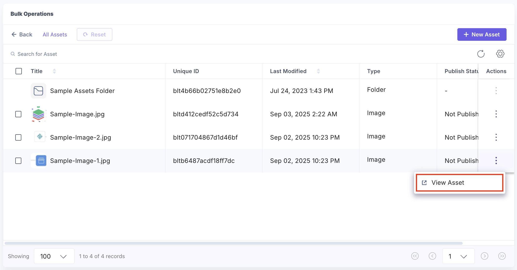 Bulk-Operations-Assets-View-Assets