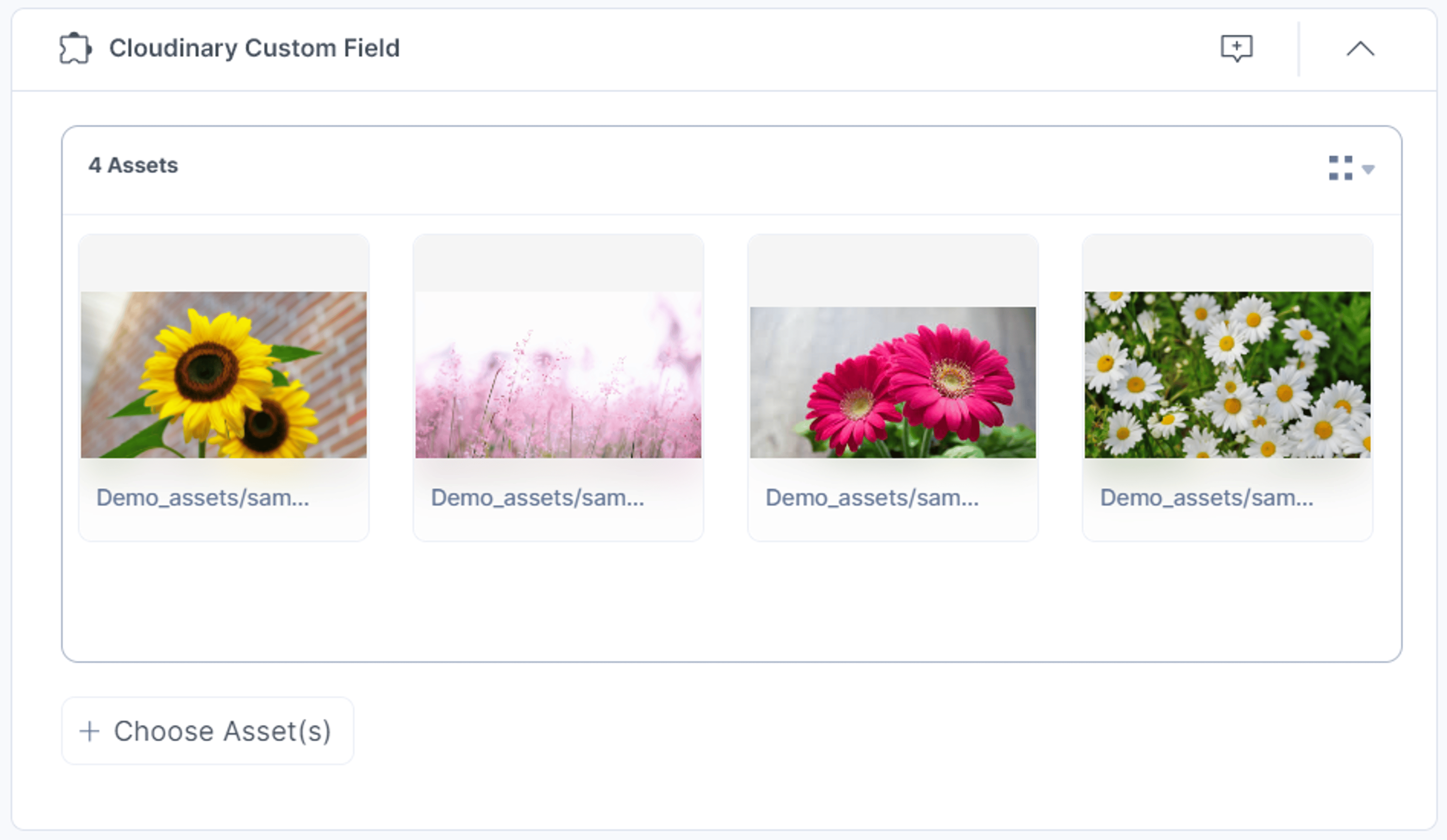 21-Cloudinary-Custom-Field-Assets-Added-Thumbnail