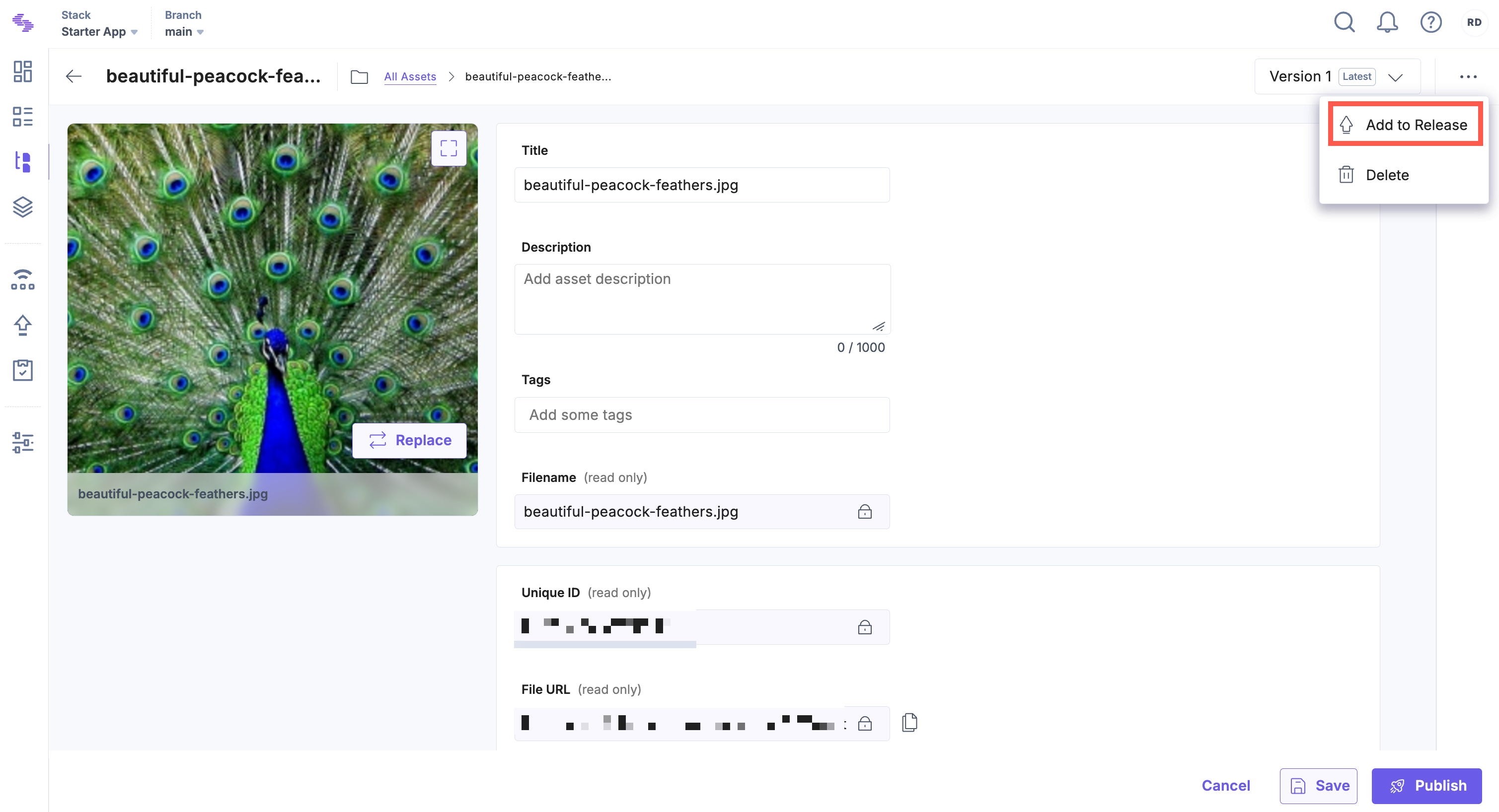 Add Entry Asset to a Release_5.png