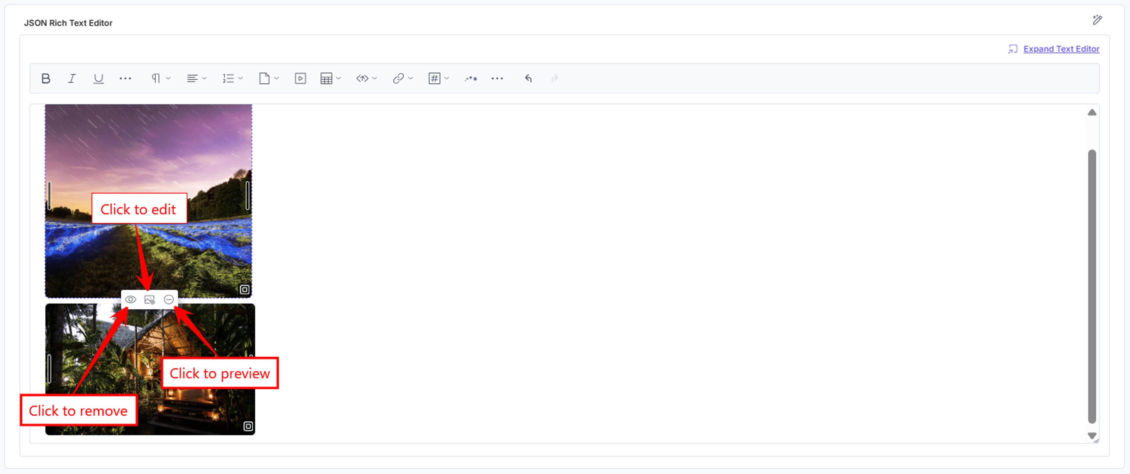 Aprimo-JSONRTE-Asset-Features