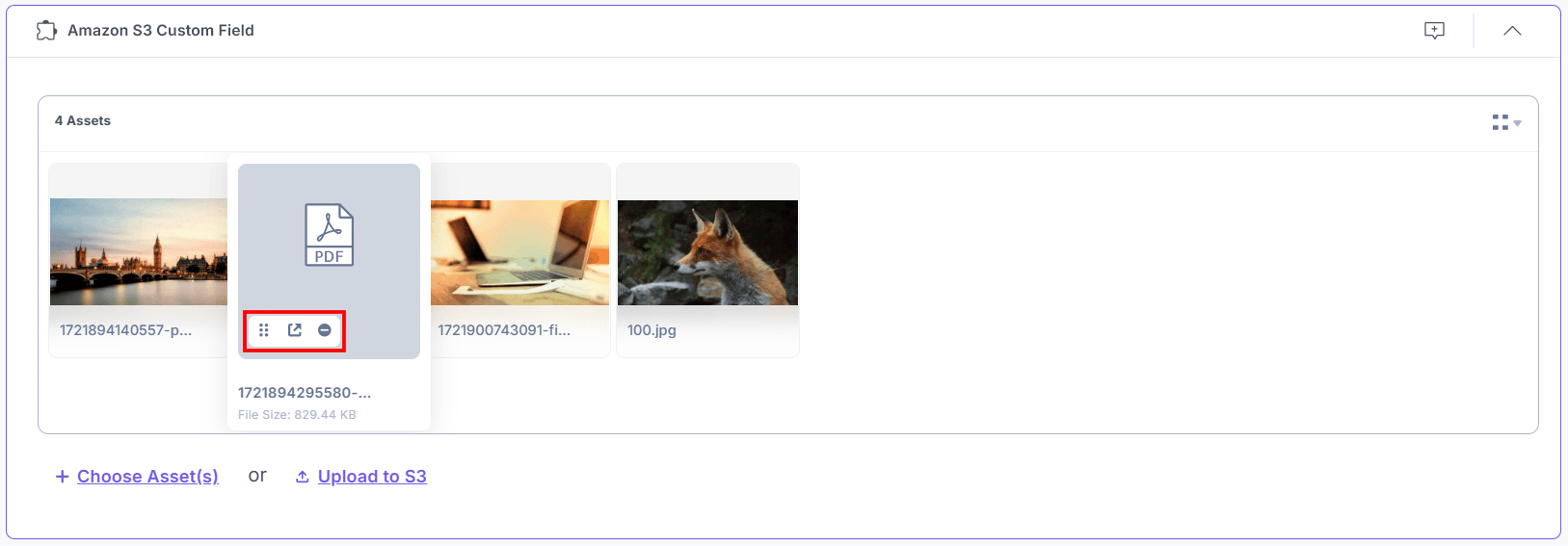 Amazon-S3-Custom-Field-Assests-In-Thumbnail-View-Options