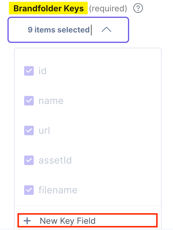 Brandfolder-Configuration-Save-In-Entry-New-Key-Field