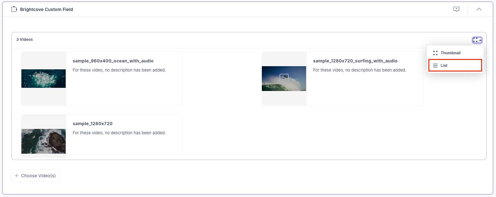 Brightcove-Custom-Options-View