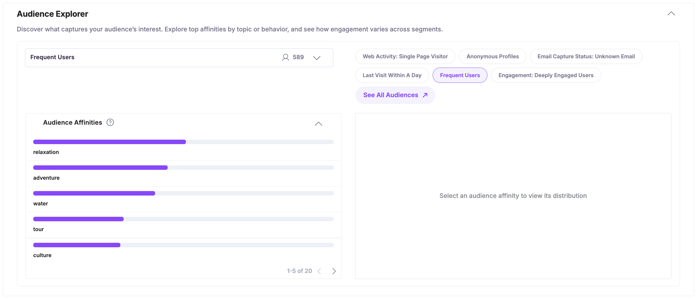 Audience-Insights-Audience-Explorer