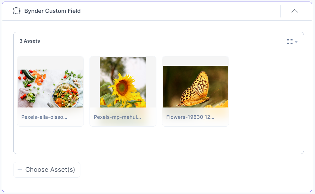 17-Bynder-Custom-Field-Assets-Added-View-Thumbnail