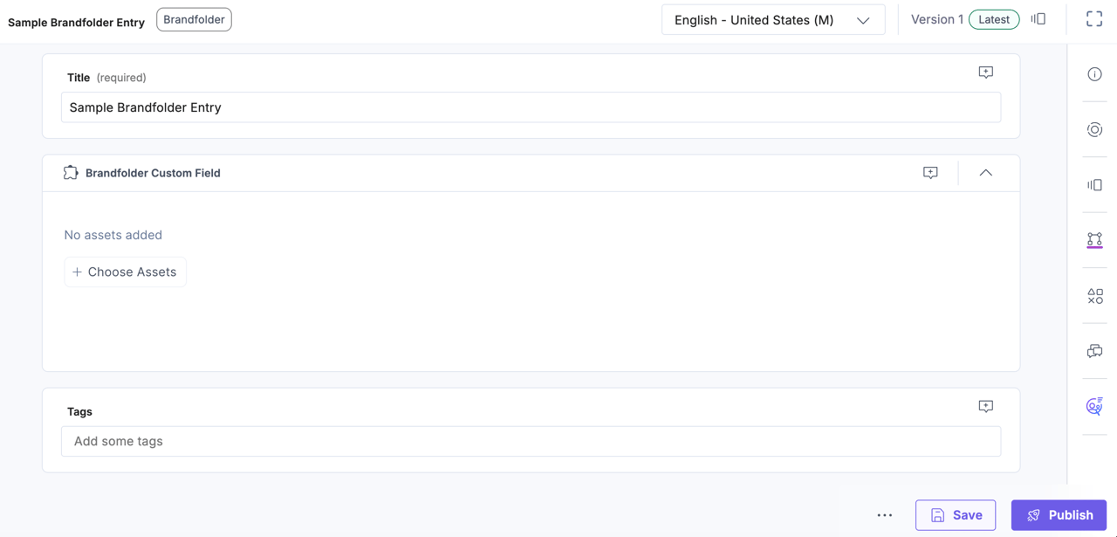 Brandfolder-Custom-Sample-Entry