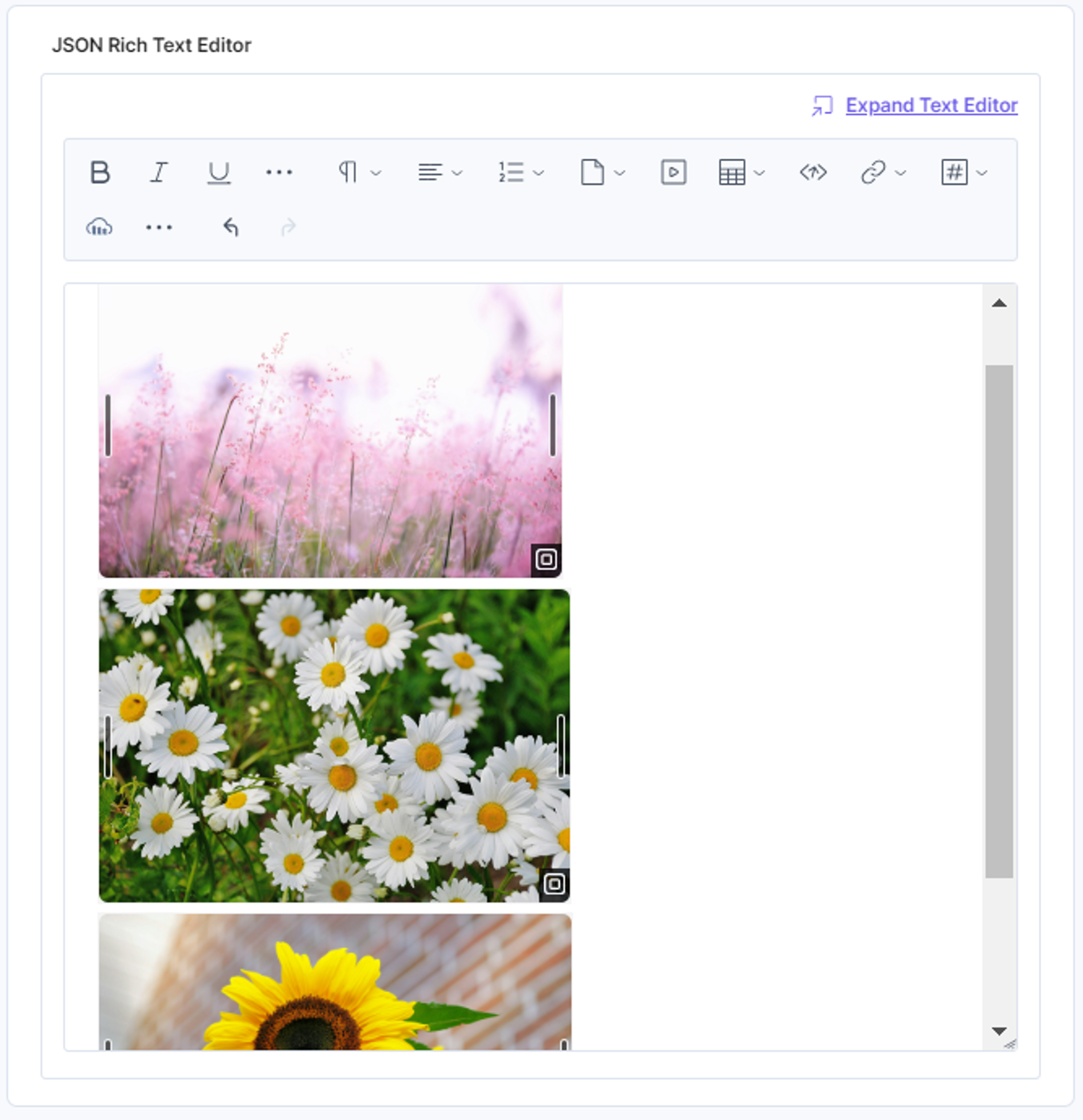 35-Cloudinary-JSONRTE-Assets-Added