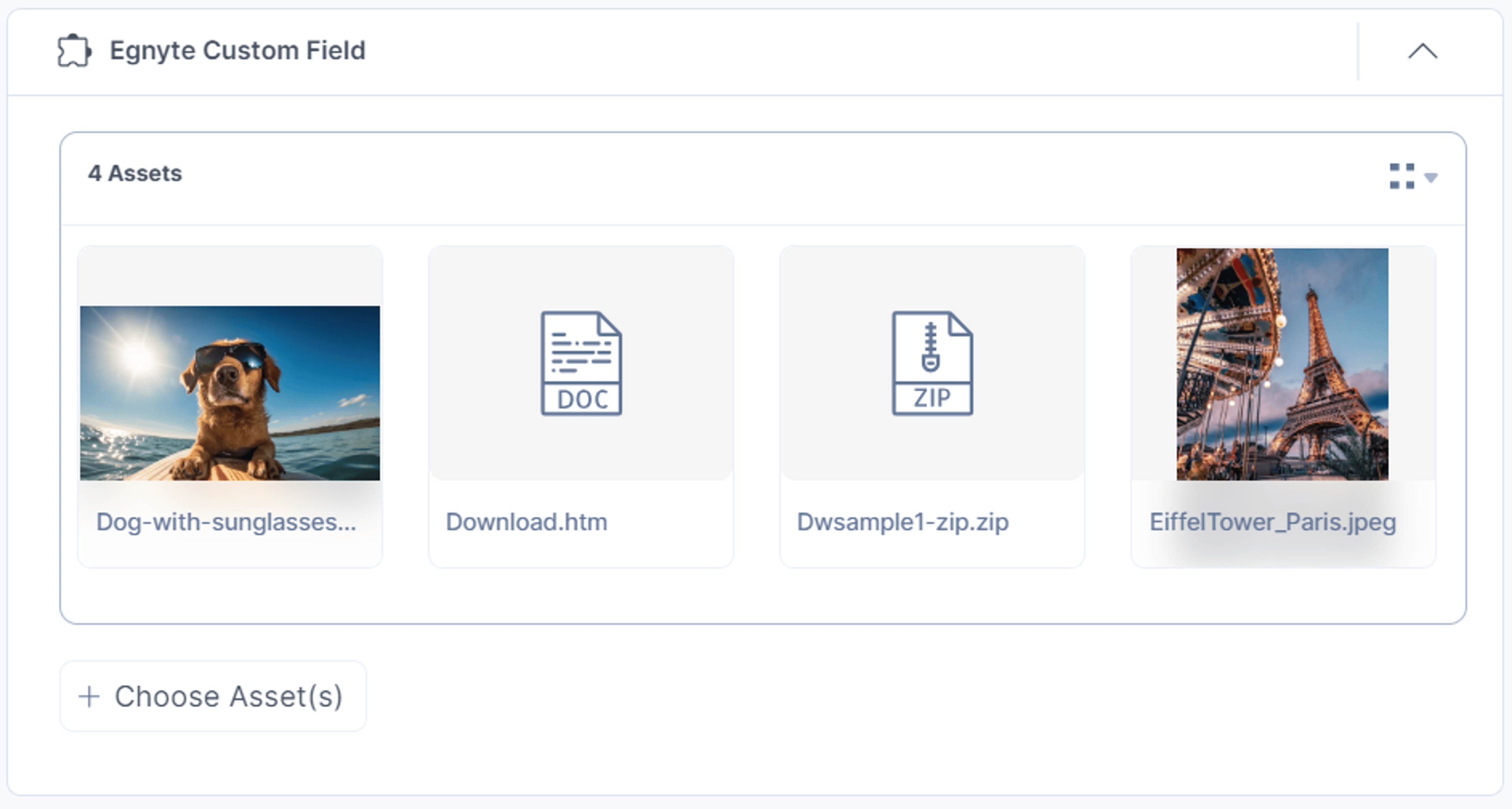 Egnyte-Custom-Field-Assets-View-Thumbnail
