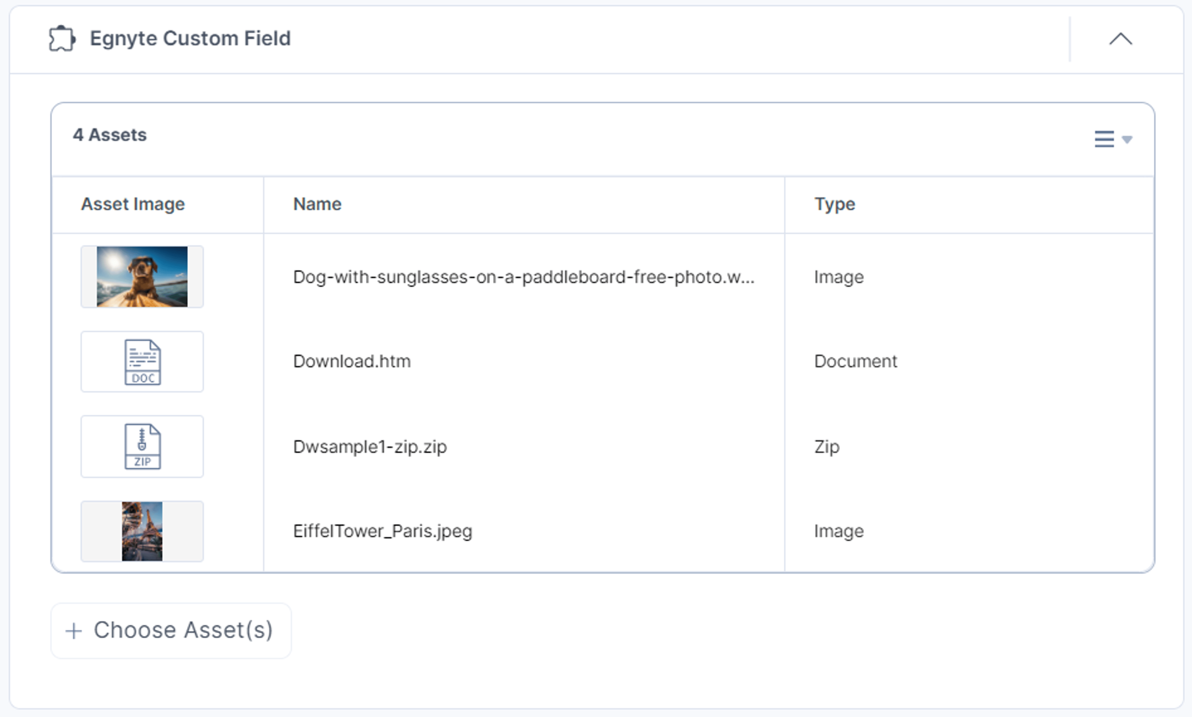 Egnyte-Custom-Field-Assets-View-List