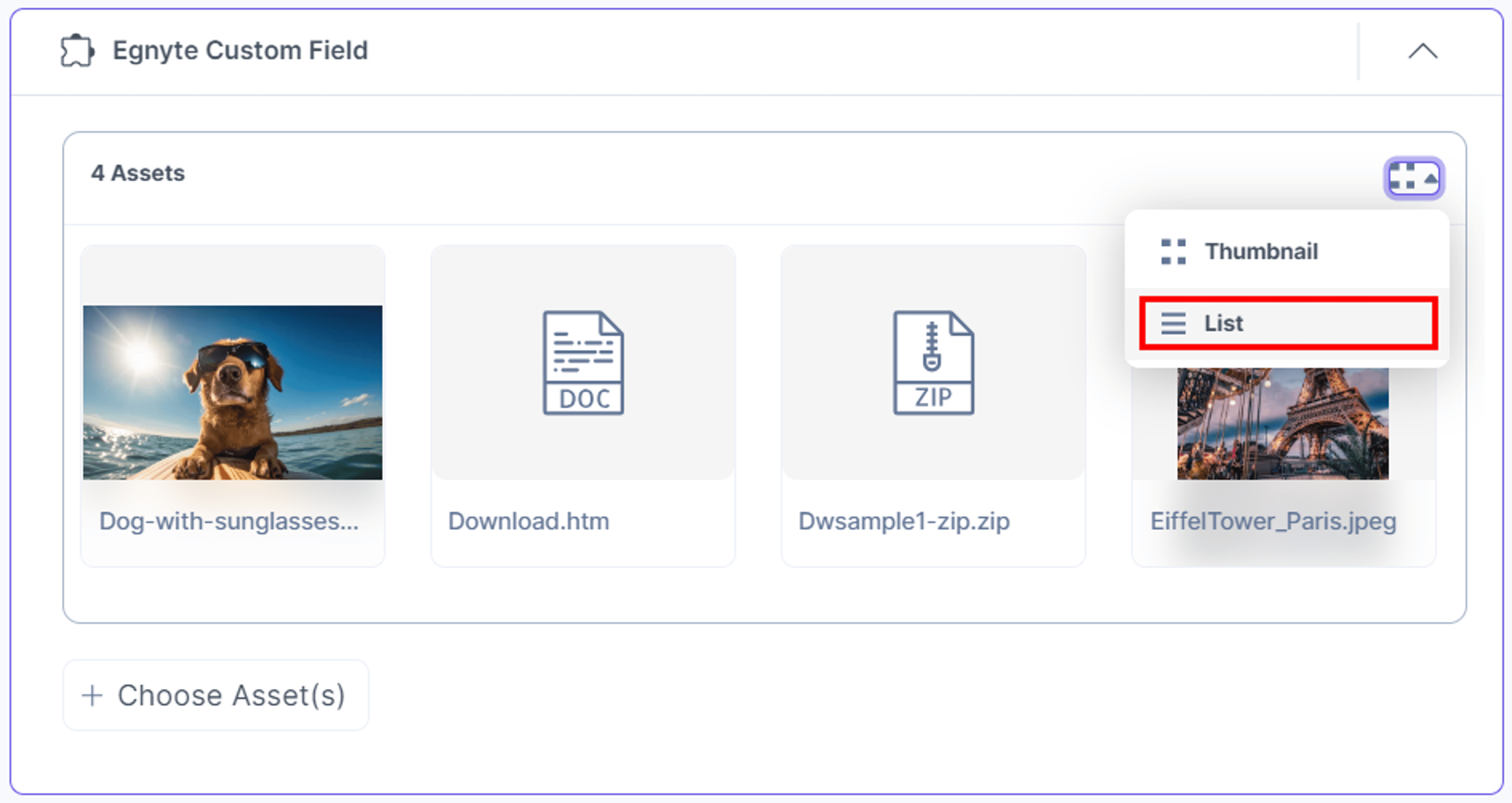Egnyte-Custom-Field-Assets-View-Options