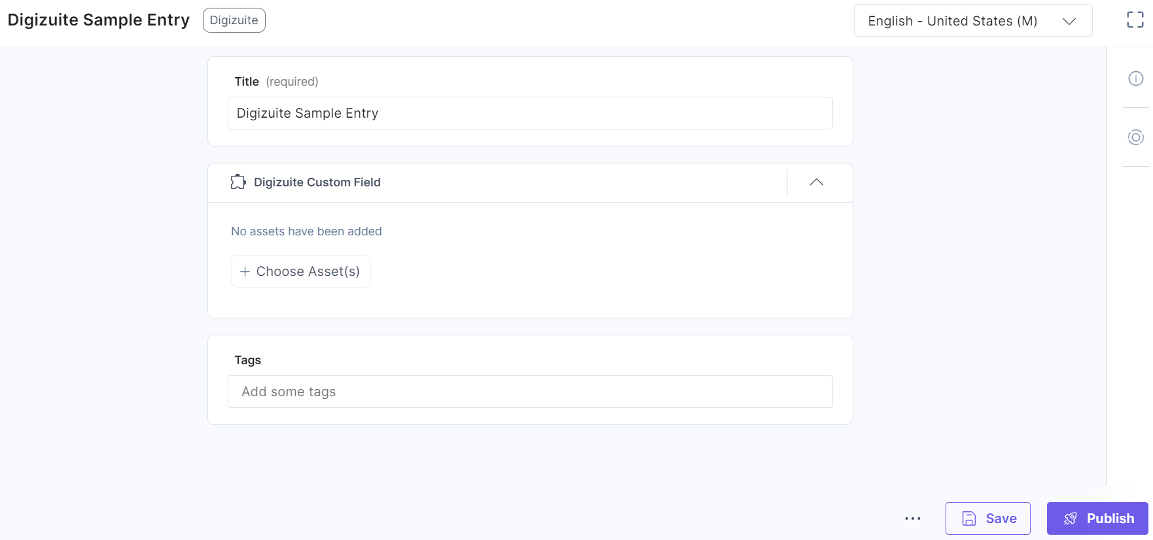 10-Digizuite-Custom-Field-Sample-Entry