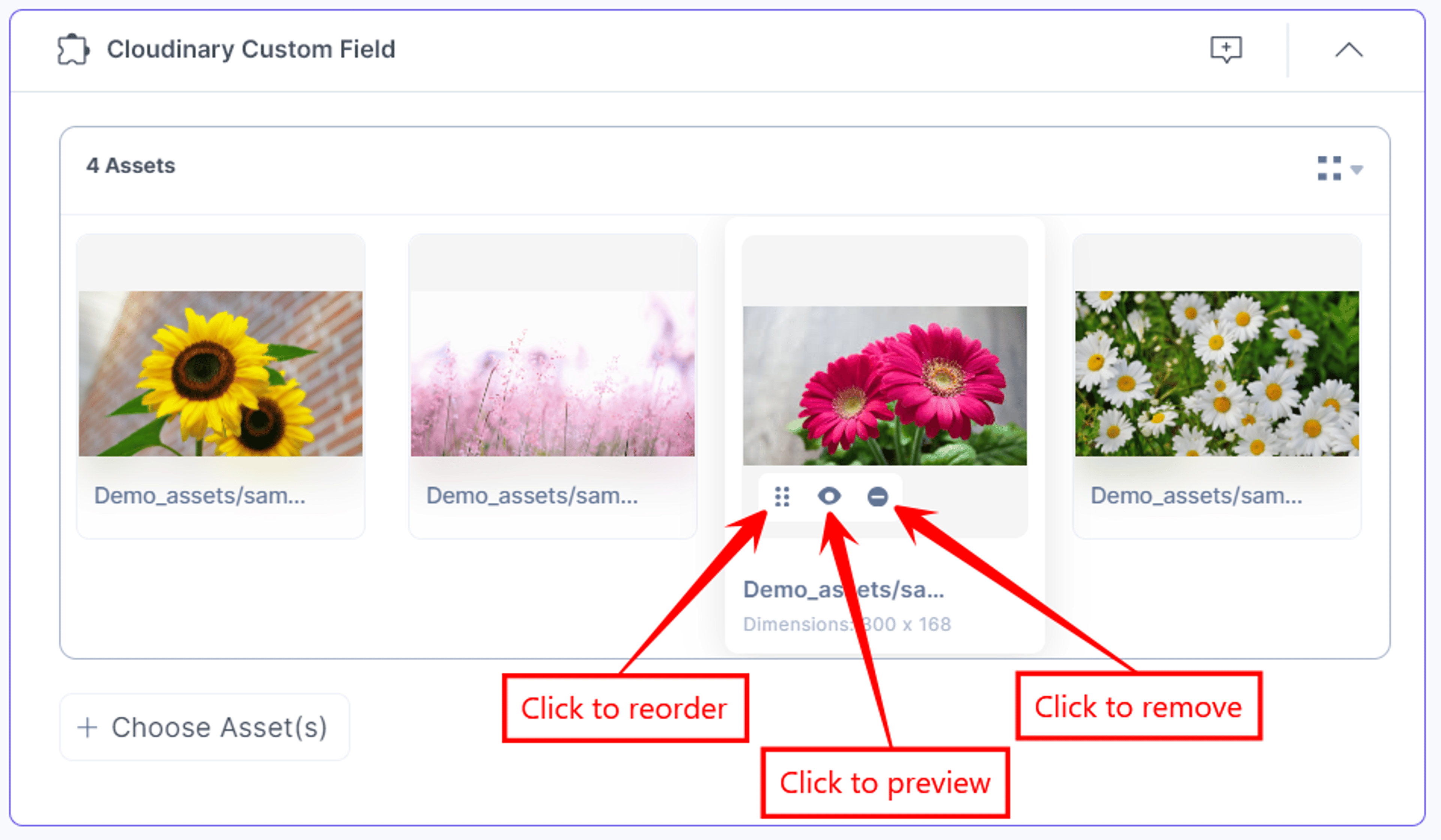 25-Cloudinary-Custom-Field-Assets-Added-Thumbnail-Options