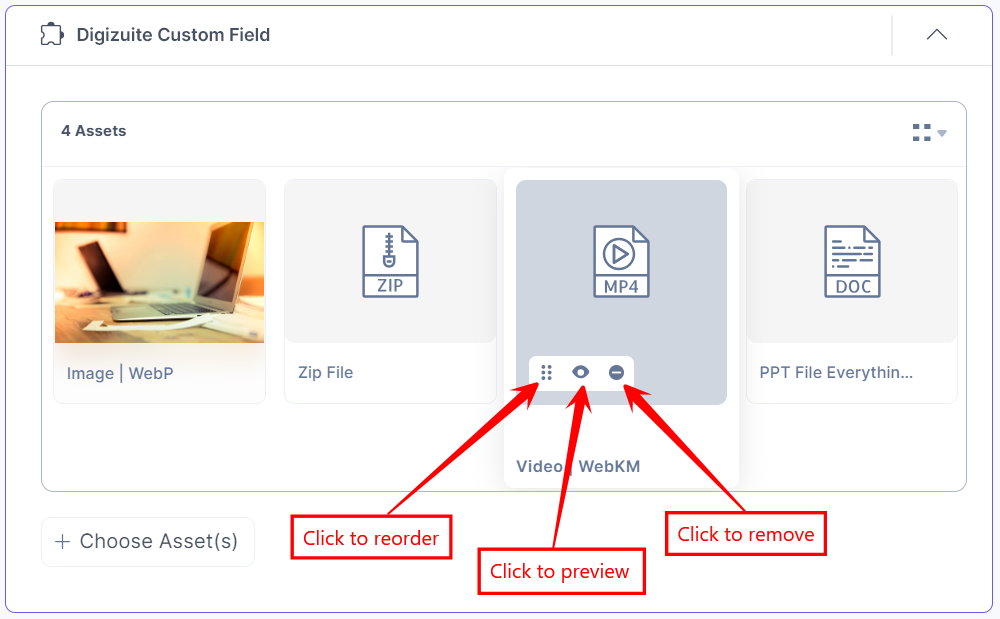 20-Digizuite-Custom-Field-Assets-View-Thumbnail-Features