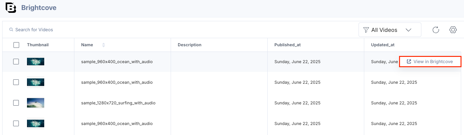 Brightcove-Selector-Page-View-In-Brightcove