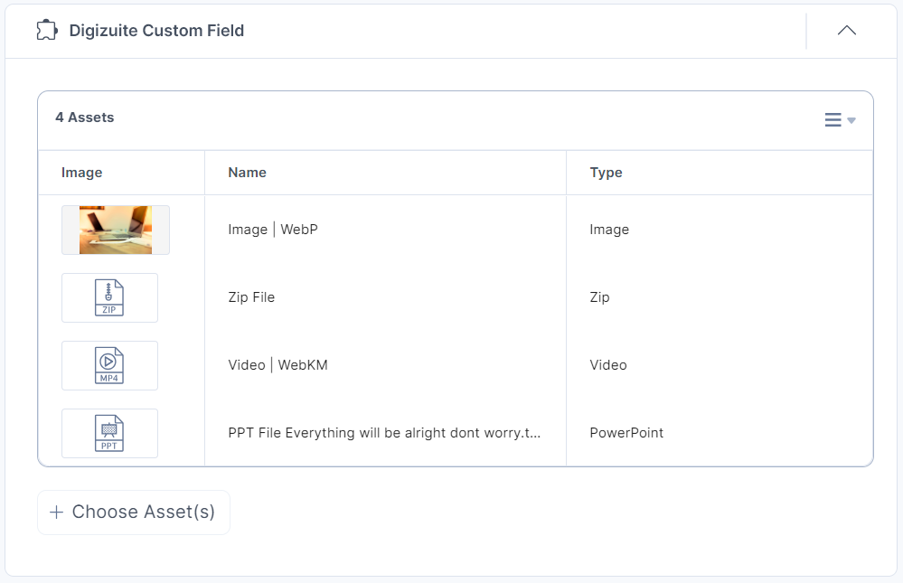 19-Digizuite-Custom-Field-Assets-View-List