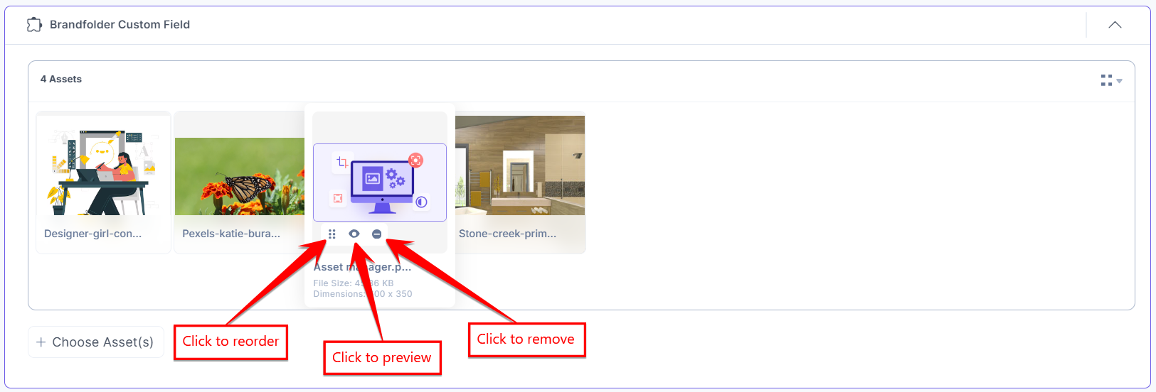23-Brandfolder-Custom-Field-Assets-View-Thumbail-Options