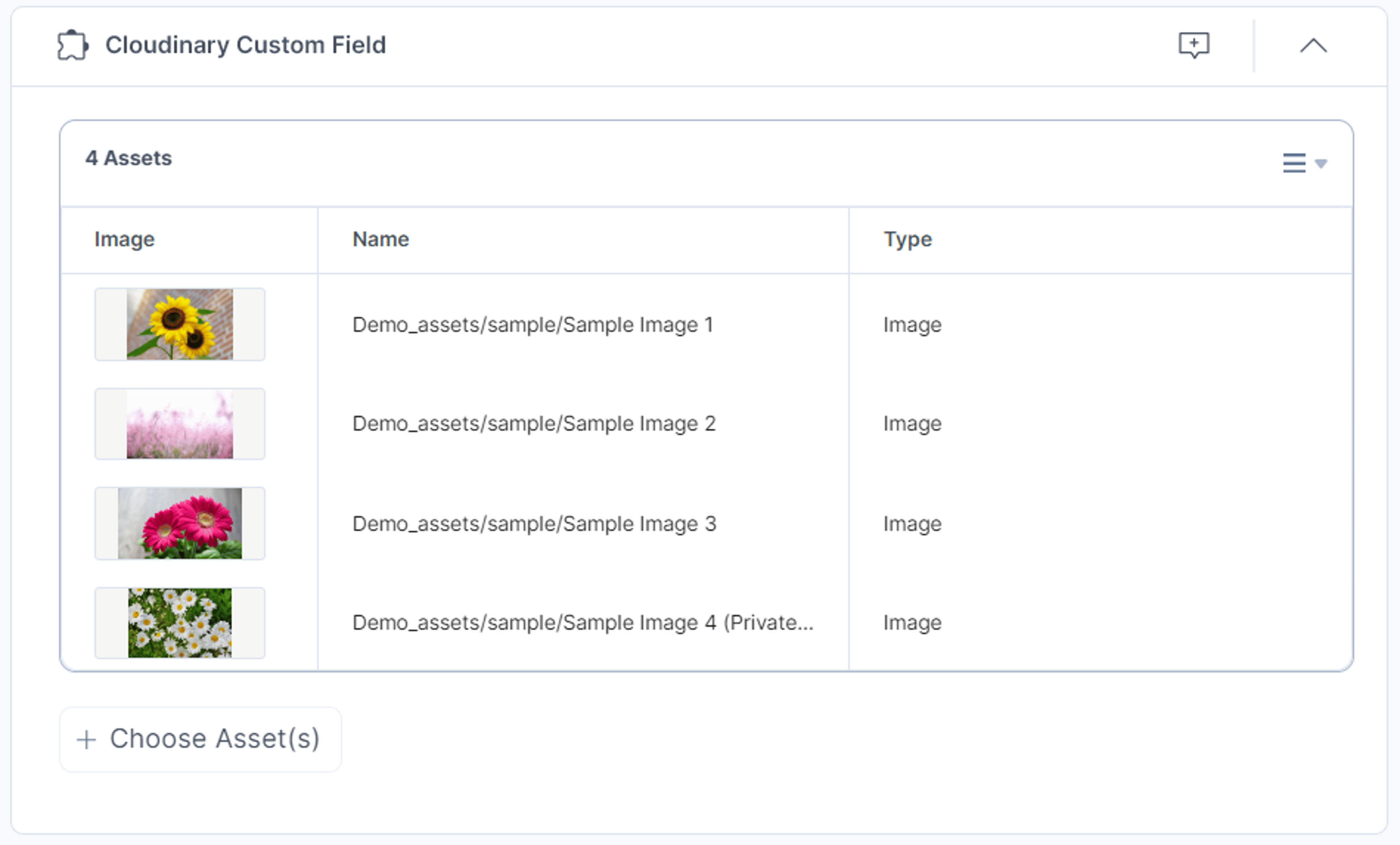 23-Cloudinary-Custom-Field-Assets-Added-List