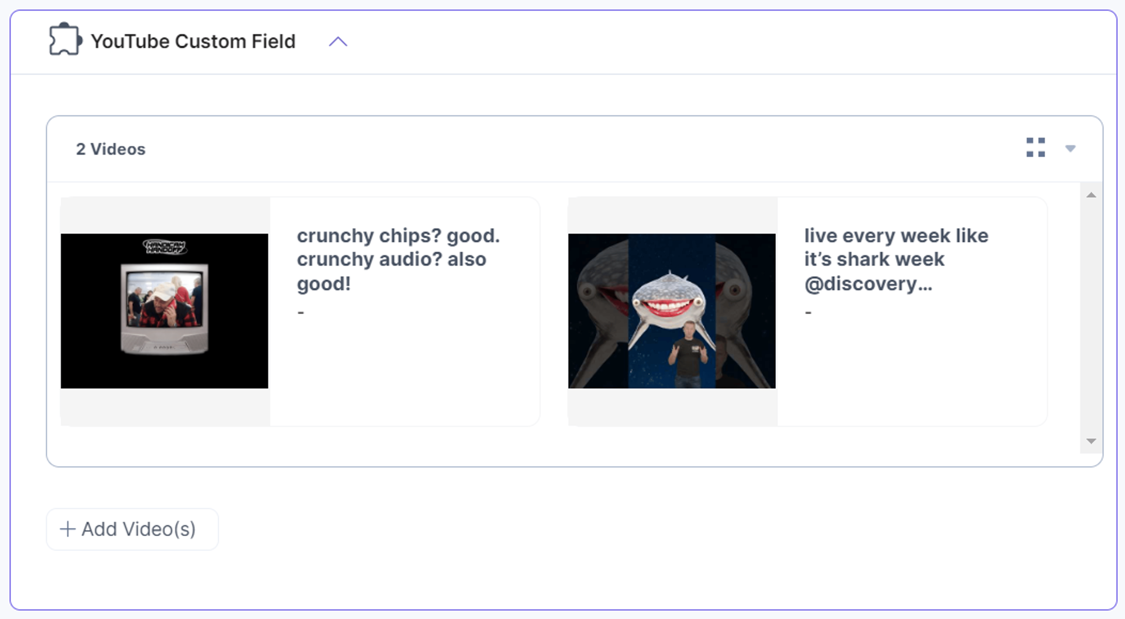 YouTube-Custom-Field-Added-Videos-In-Thumbnail-view