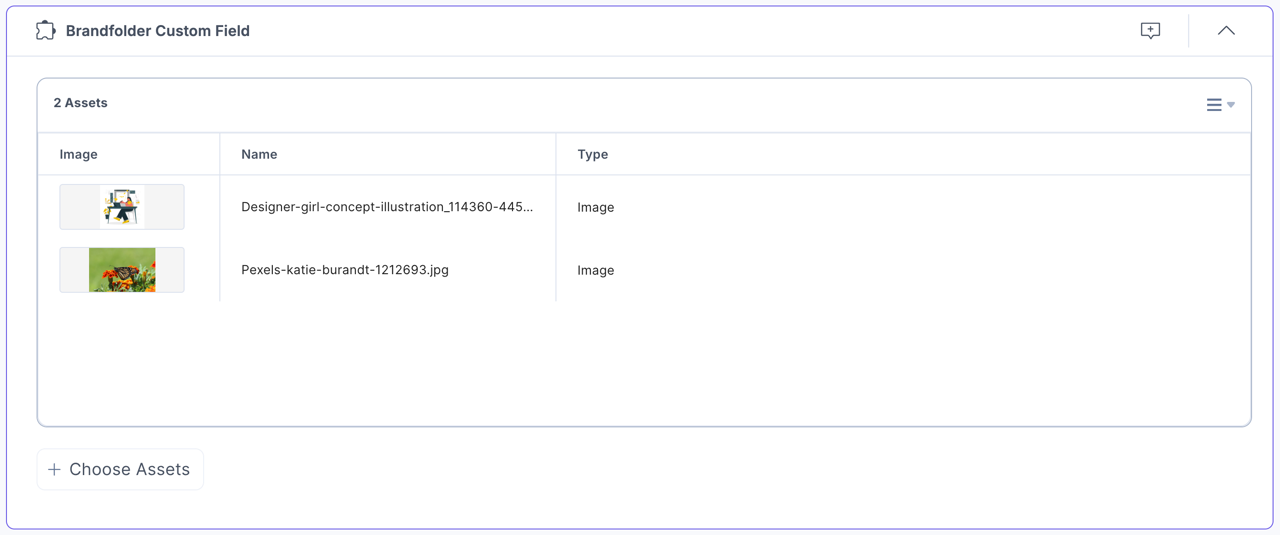 Brandfolder-Custom-Assets-View-List