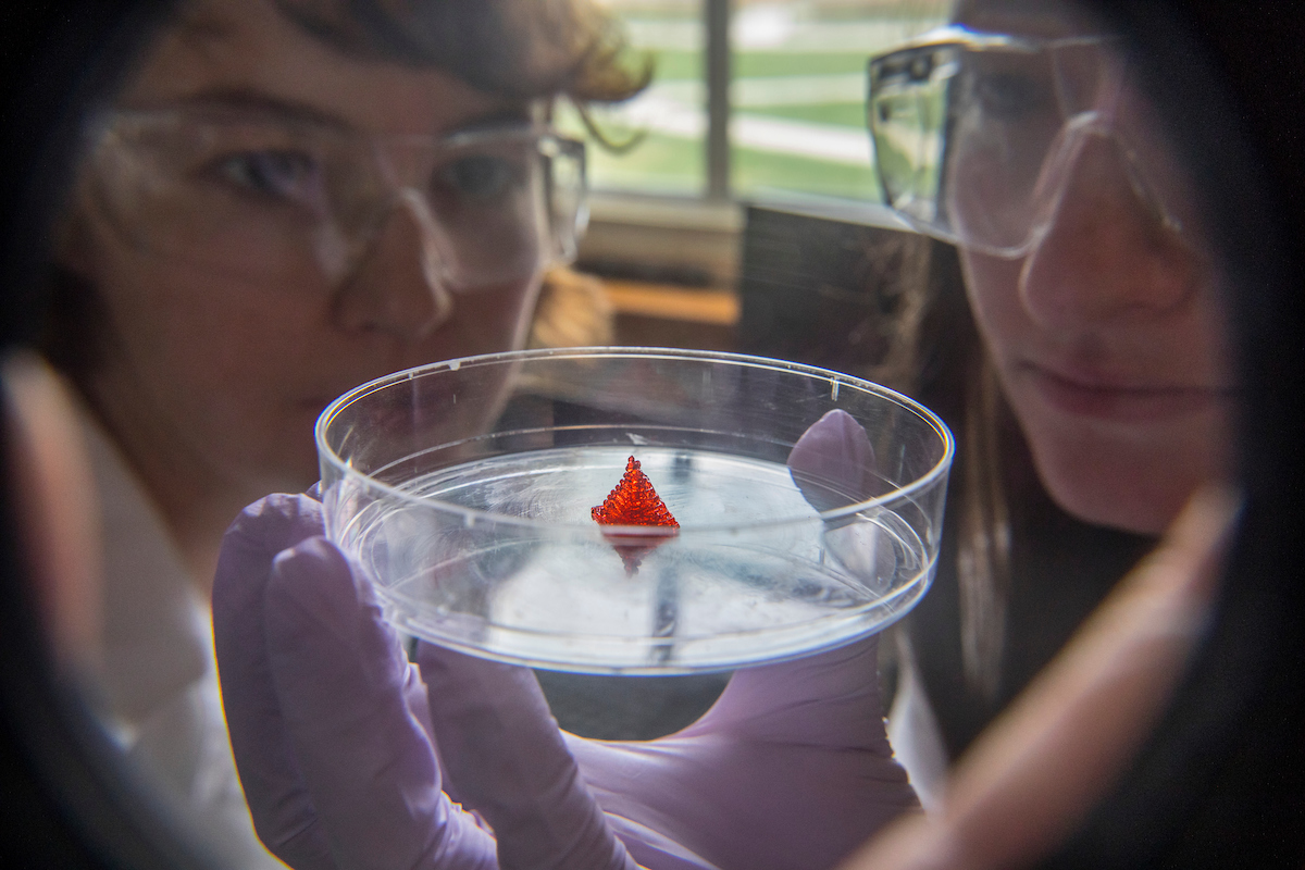 Los estudiantes del laboratorio de biomedicina de Sparks investigan la impresión en 3D de materiales de hidrogel. Su trabajo sirve para los campos de ingeniería de tejidos y medicina regenerativa.