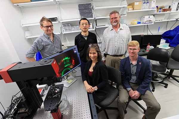 Left to right: Mark Charlton-Perkins, Hui Wang, Mike Robinson, Katia Del Rio-Tsonis, and Andrew Jones all studying vision loss and blindness