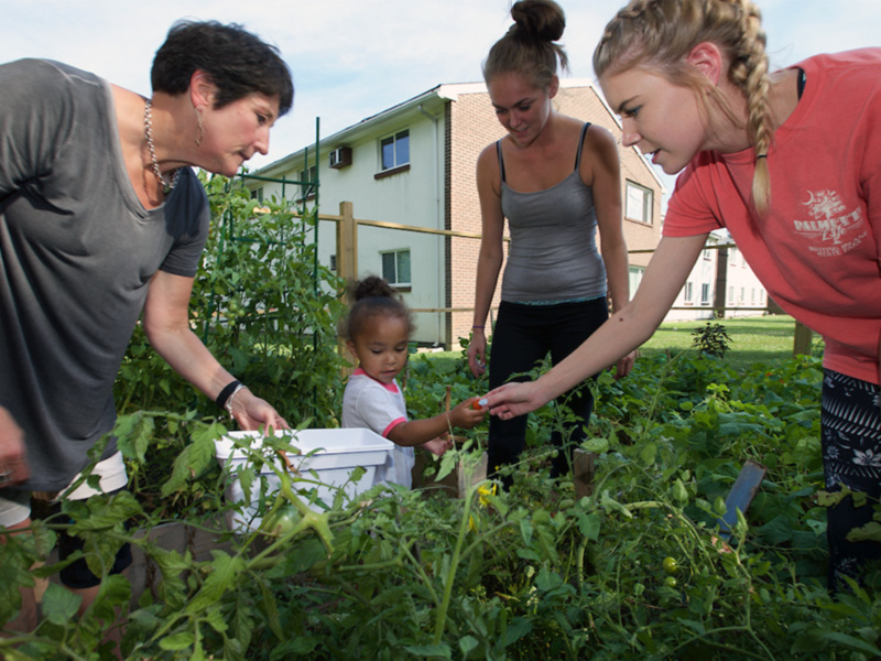 Females of various ages working together in a garden.