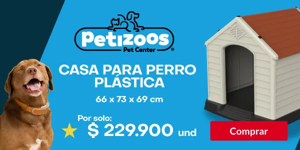 Banner Casa Perro