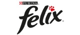 Logo FELIX
