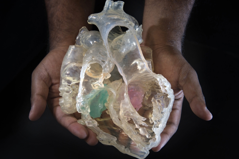 3D model of heart.