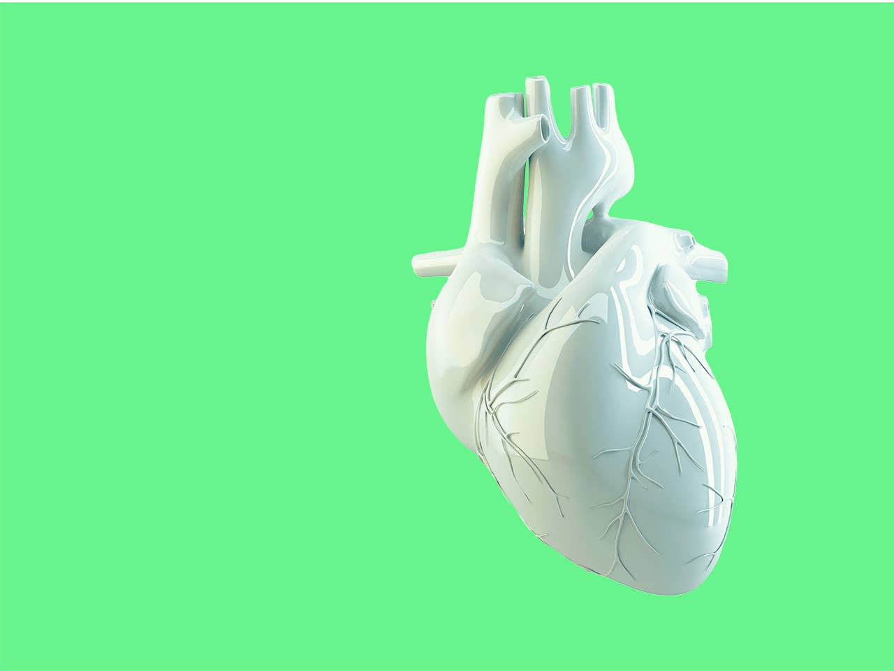 Detailed 3D representation of a human heart against a plain white background, highlighting its anatomical features.