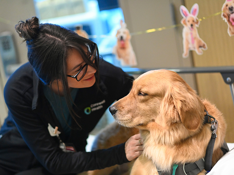 Corewell Health child life specialist with a golden retriever therapy dog