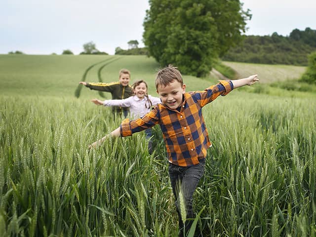 Two young boys and a young girl spread their arms out to their sides and run through waist-high wild grass in a field