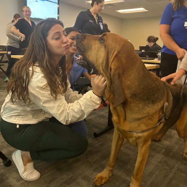 Photo of residents and a therapy dog during a session at the hospital
