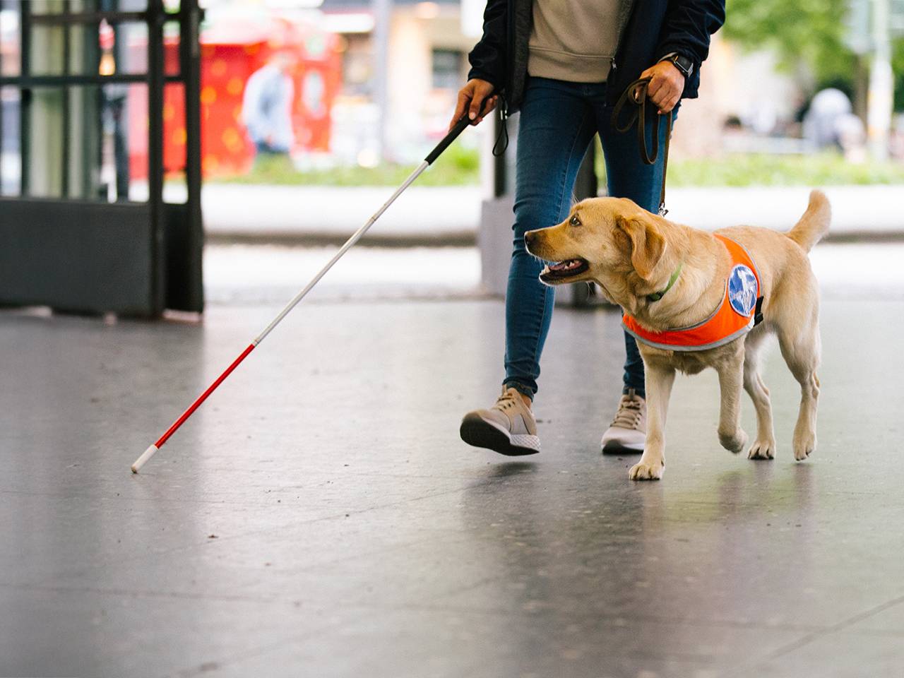 A woman with a cane walks her dog, highlighting the bond between them and the importance of accessibility.