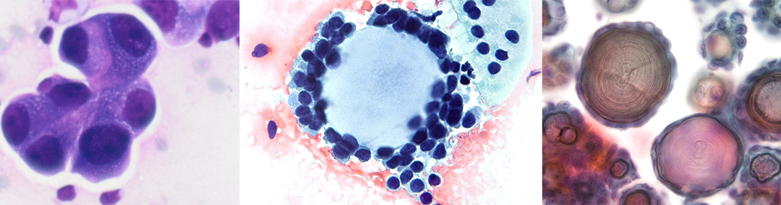Cytopathology Fellowship header