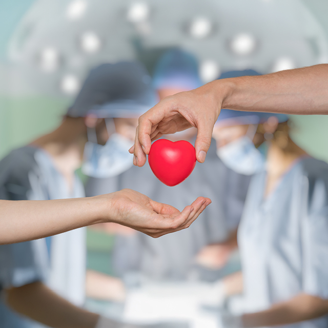 Graphic of one hand holding a cartoon heart above another with surgeons in the background