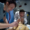 Two men in scrubs carefully examine a doll, showcasing their skills in a hands-on training environment.