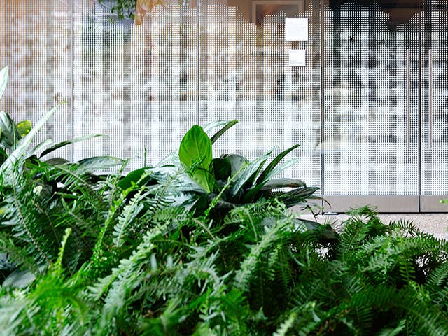 Interior view of Hanson Heart Center.