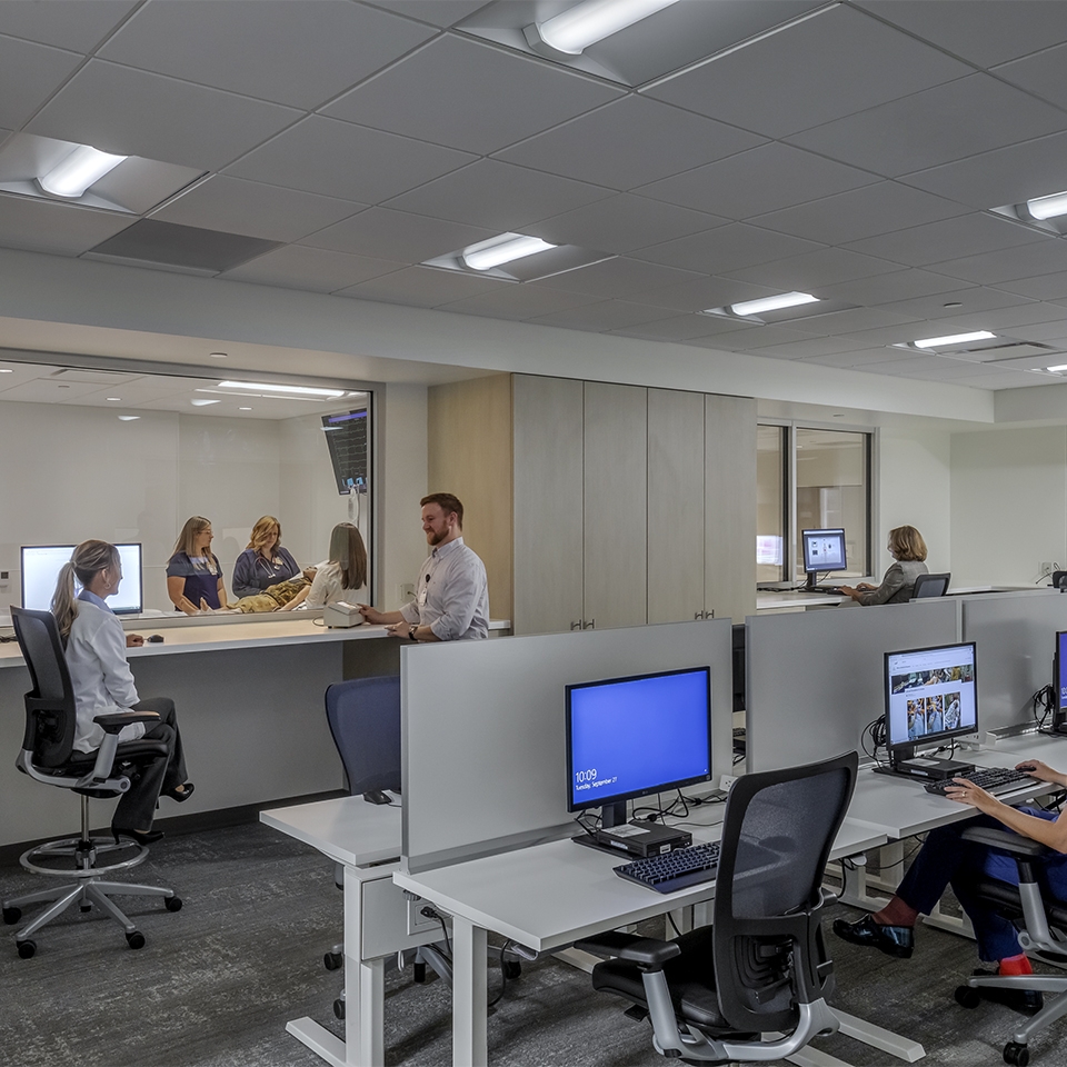 Several employees seated at desks, collaborating in a busy office setting.