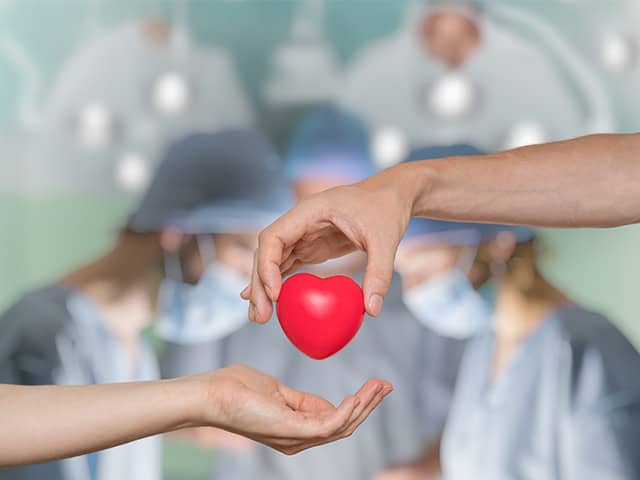 Graphic of one hand holding a cartoon heart above another with surgeons in the background