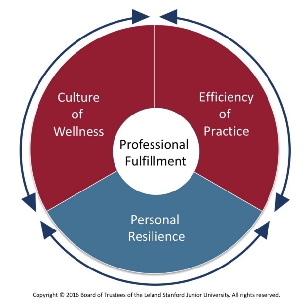 Stanford professional fulfillment model.