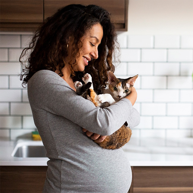 Smiling pregnant woman holds her cat while standing in a sunny room