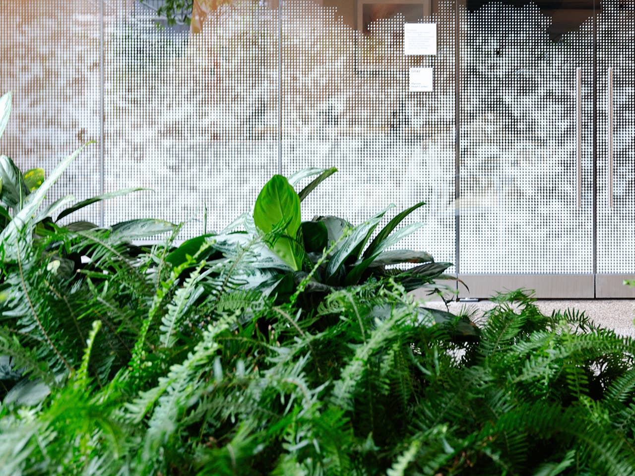 Interior view of Hanson Heart Center.